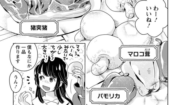 コマサム