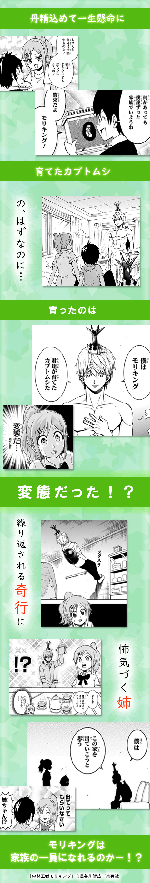 森林王者モリキング