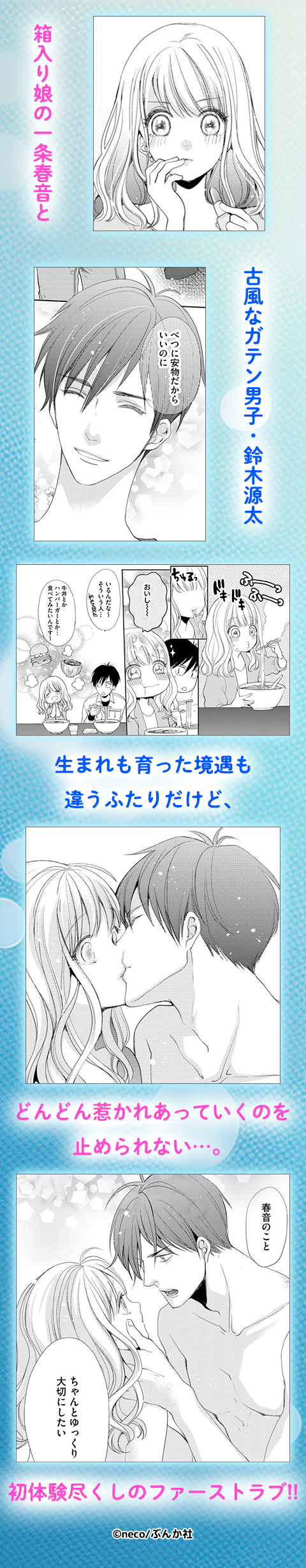 箱入り乙女とガテンの王子様