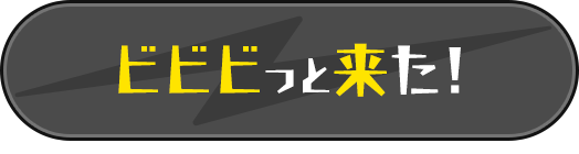 ビビビっと来た