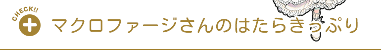 マクロファージさんについてもっと詳しく知る