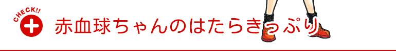 赤血球ちゃんについてもっと詳しく知る