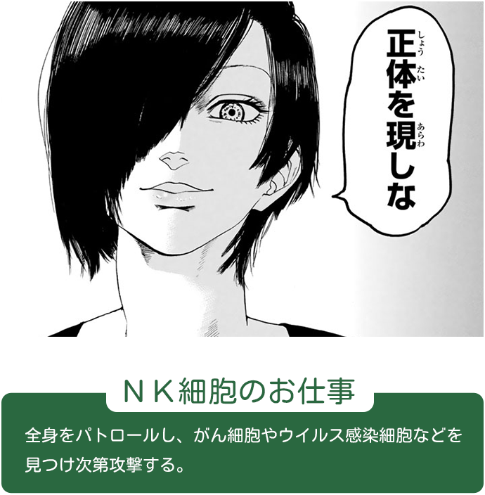 NK細胞のお仕事