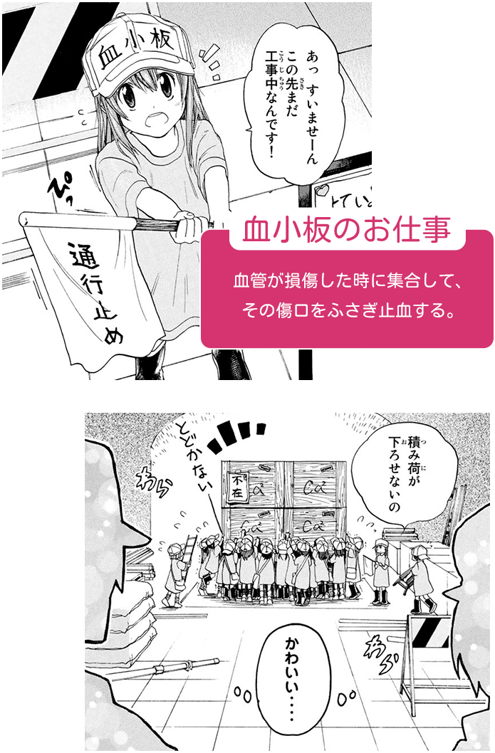 血小板のお仕事