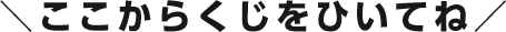 ここからくじをひいてね